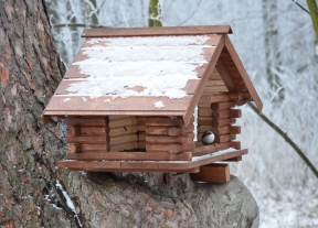 15 января в России празднуется День зимующих птиц